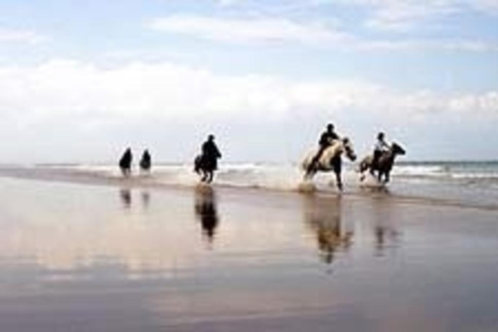 לינה וארוחת בוקר Glin Knights Haven מראה חיצוני תמונה